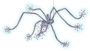 Img nomos-spinne.png