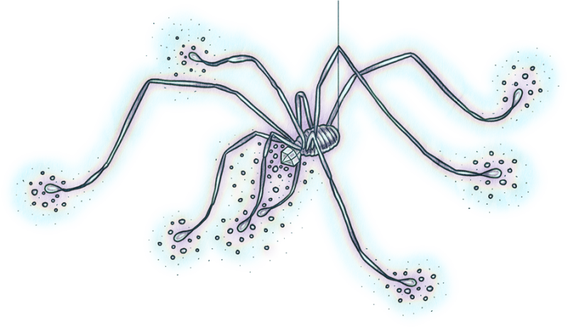 Datei:Img nomos-spinne.png